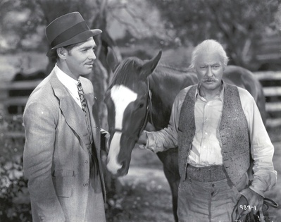 萨拉托加剧照的剧照