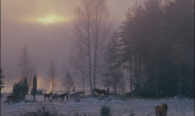 苏芬战争剧照的剧照