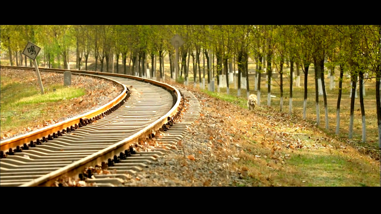 忠爱无言剧照的剧照