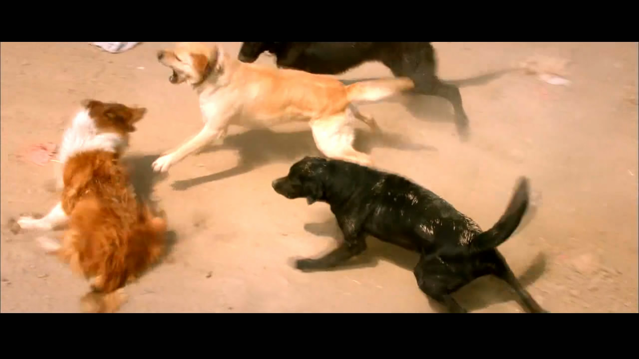 忠爱无言剧照的剧照