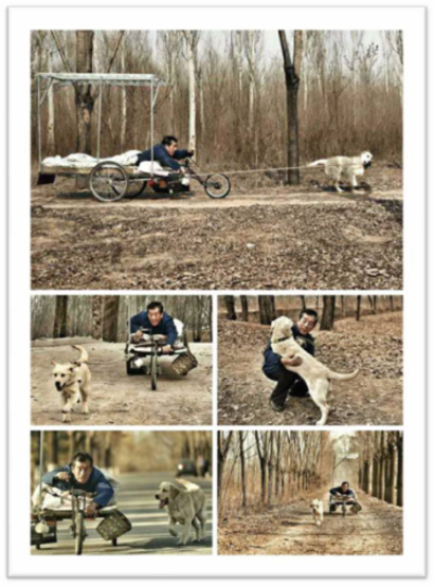 忠爱无言剧照的剧照