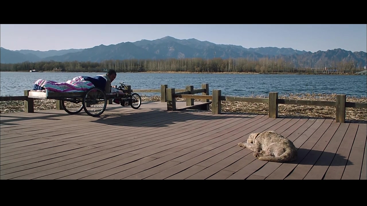 忠爱无言剧照的剧照