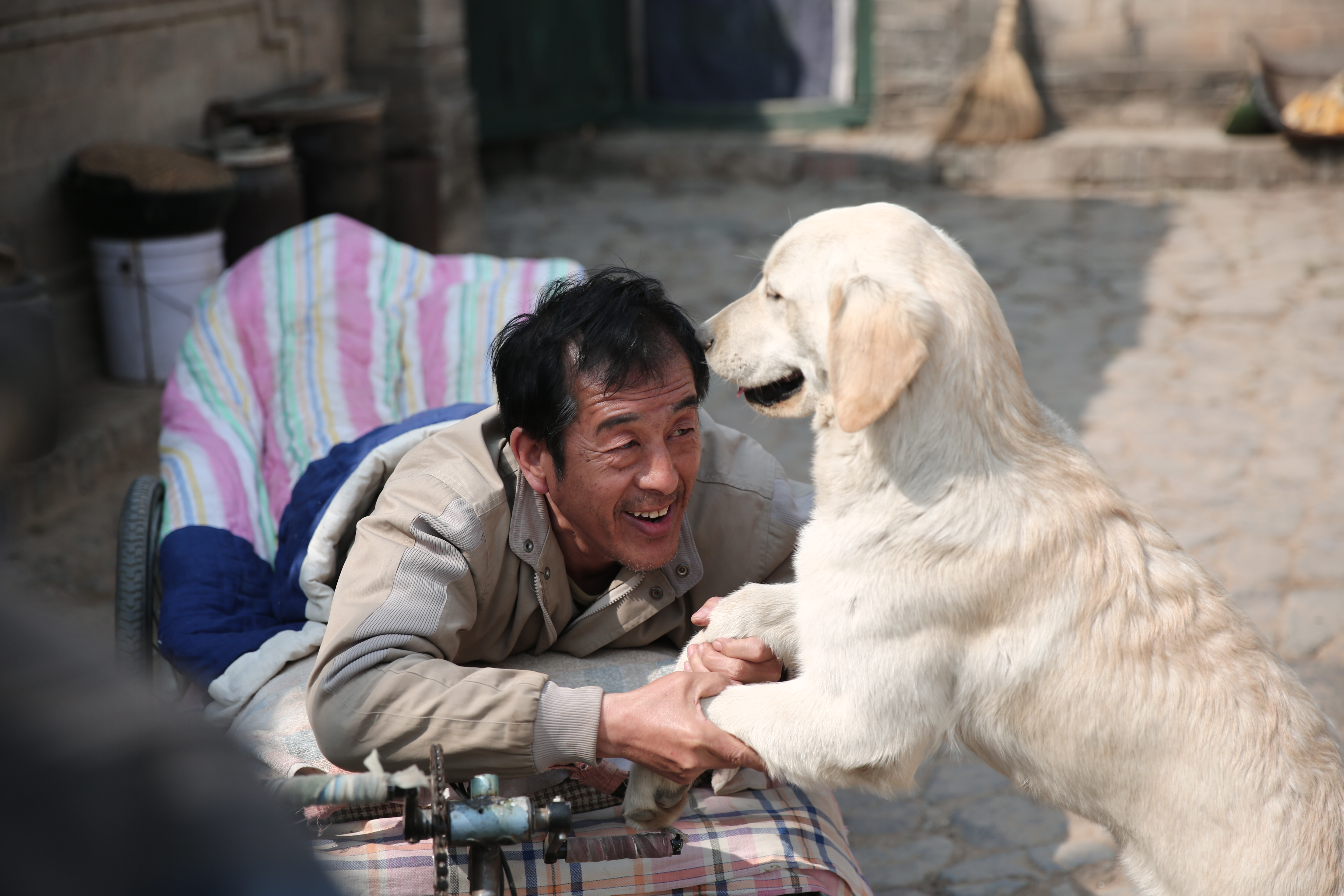 忠爱无言剧照的剧照