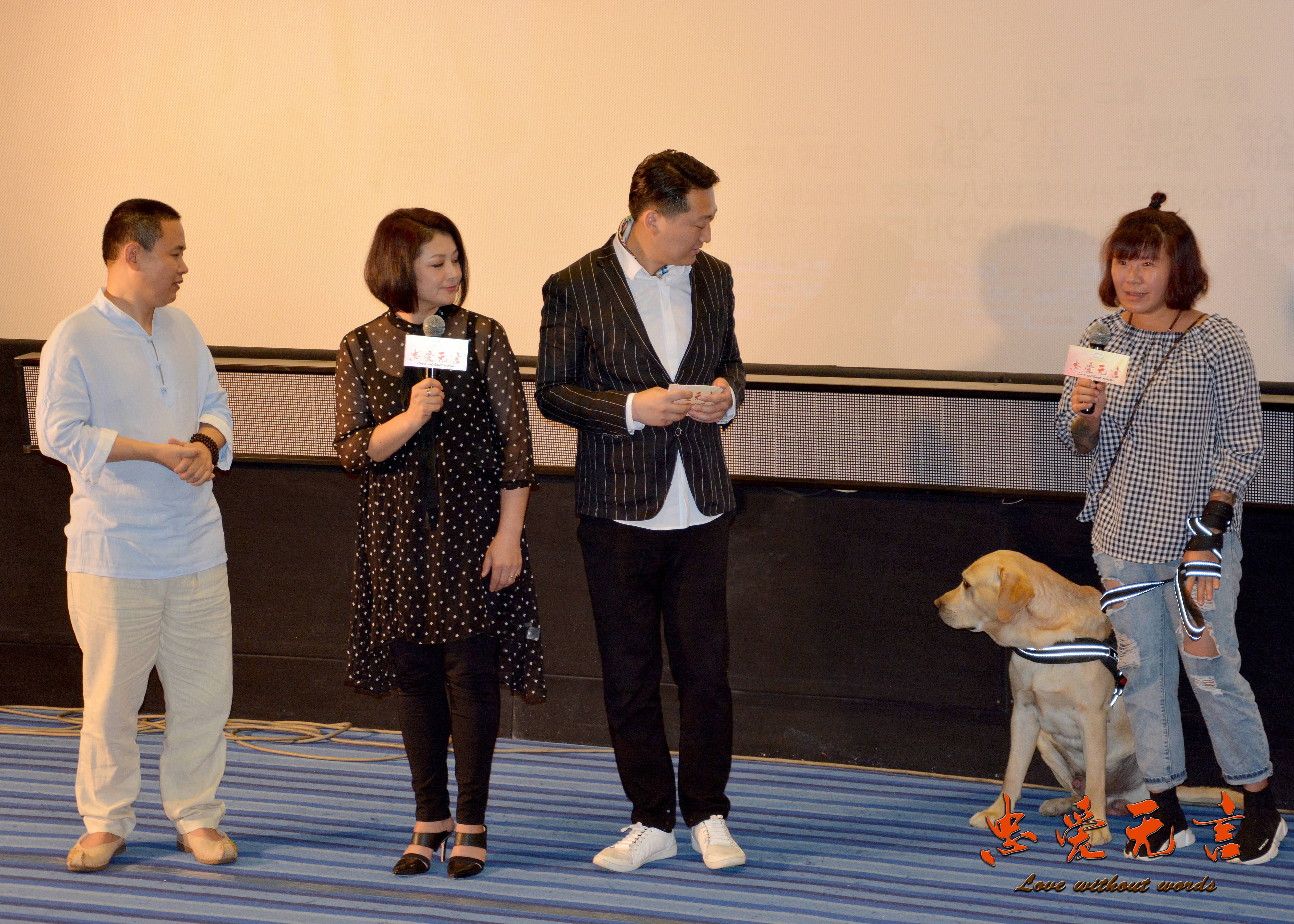 忠爱无言剧照的剧照