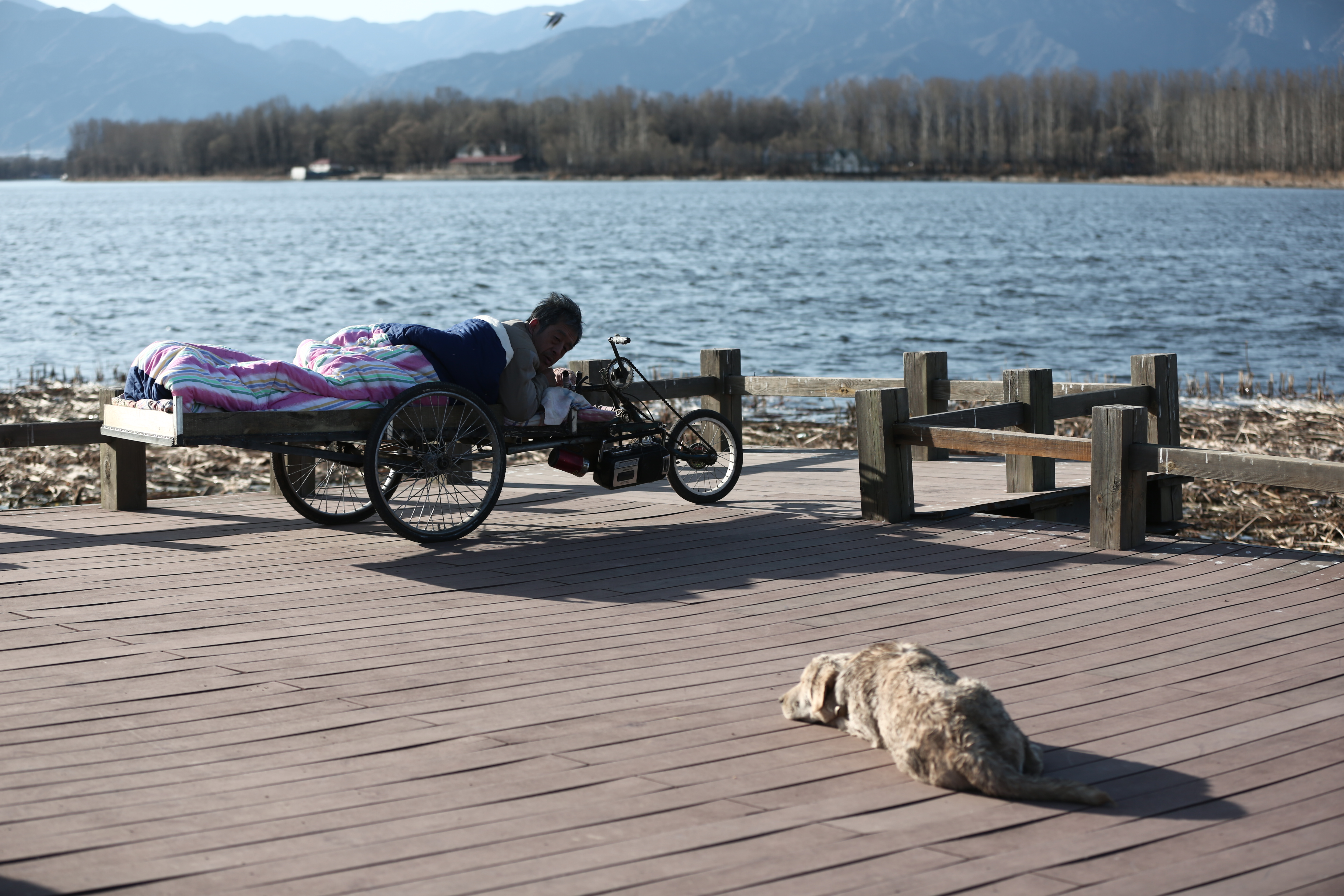 忠爱无言剧照的剧照