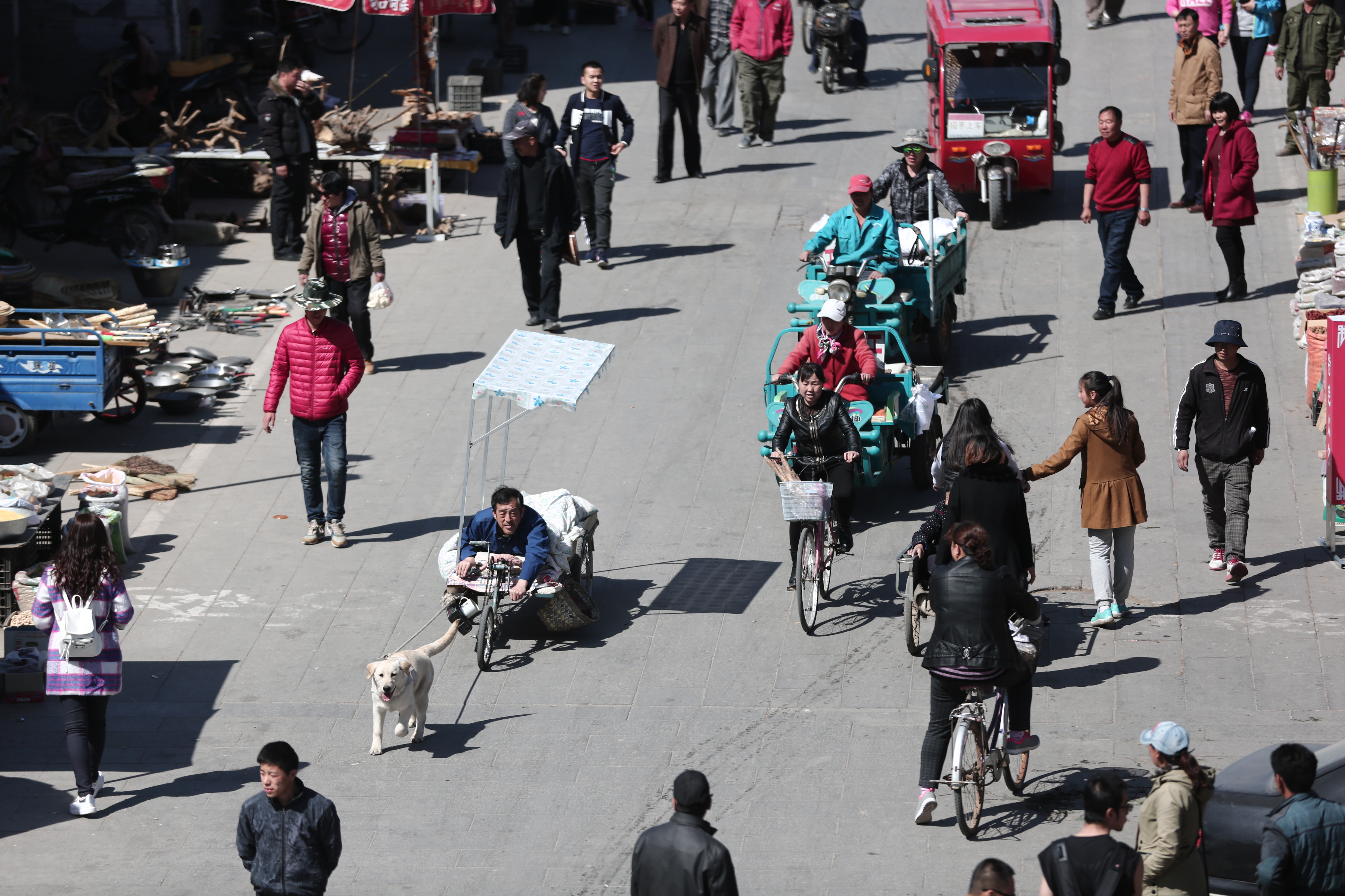 忠爱无言剧照的剧照