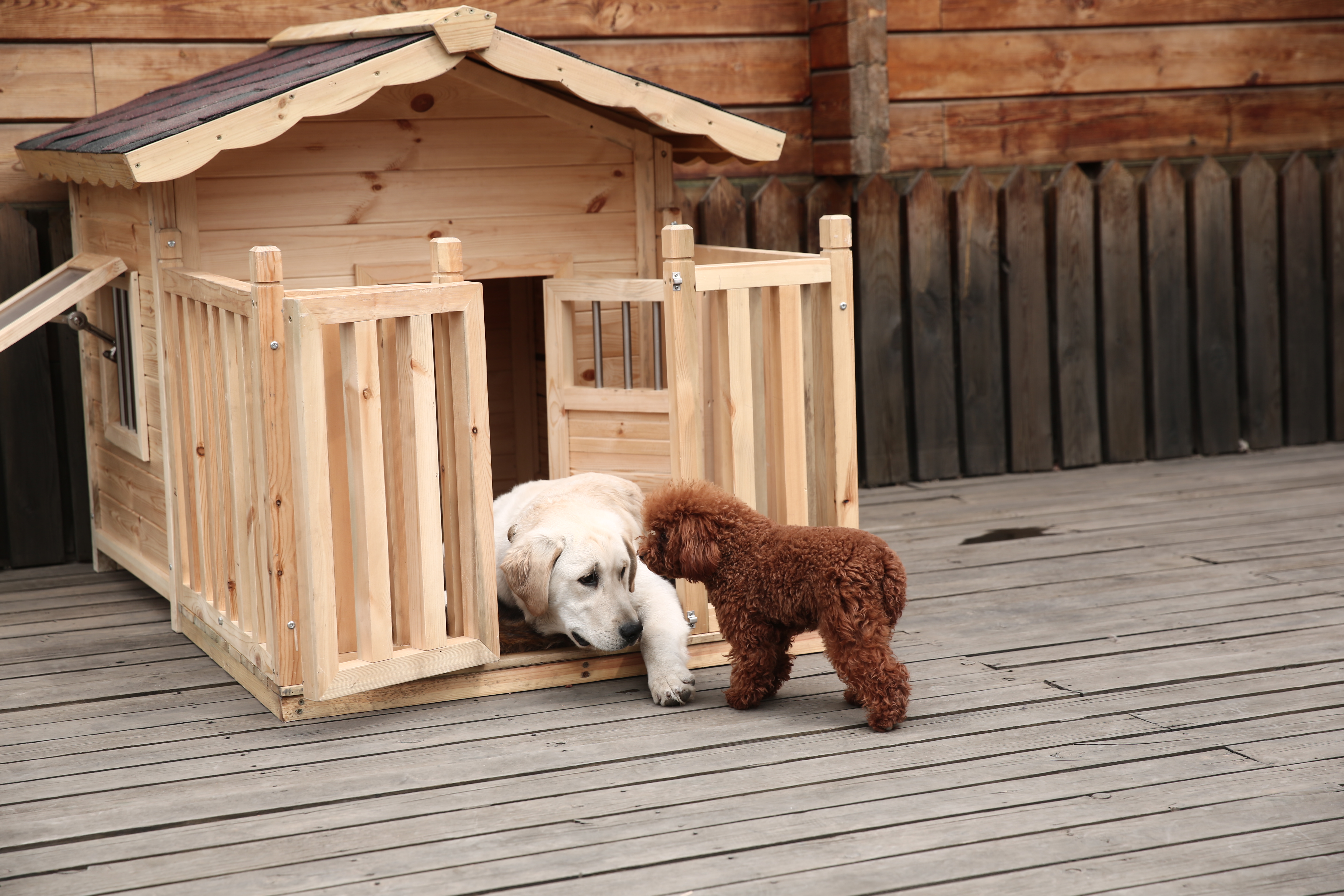 忠爱无言剧照的剧照