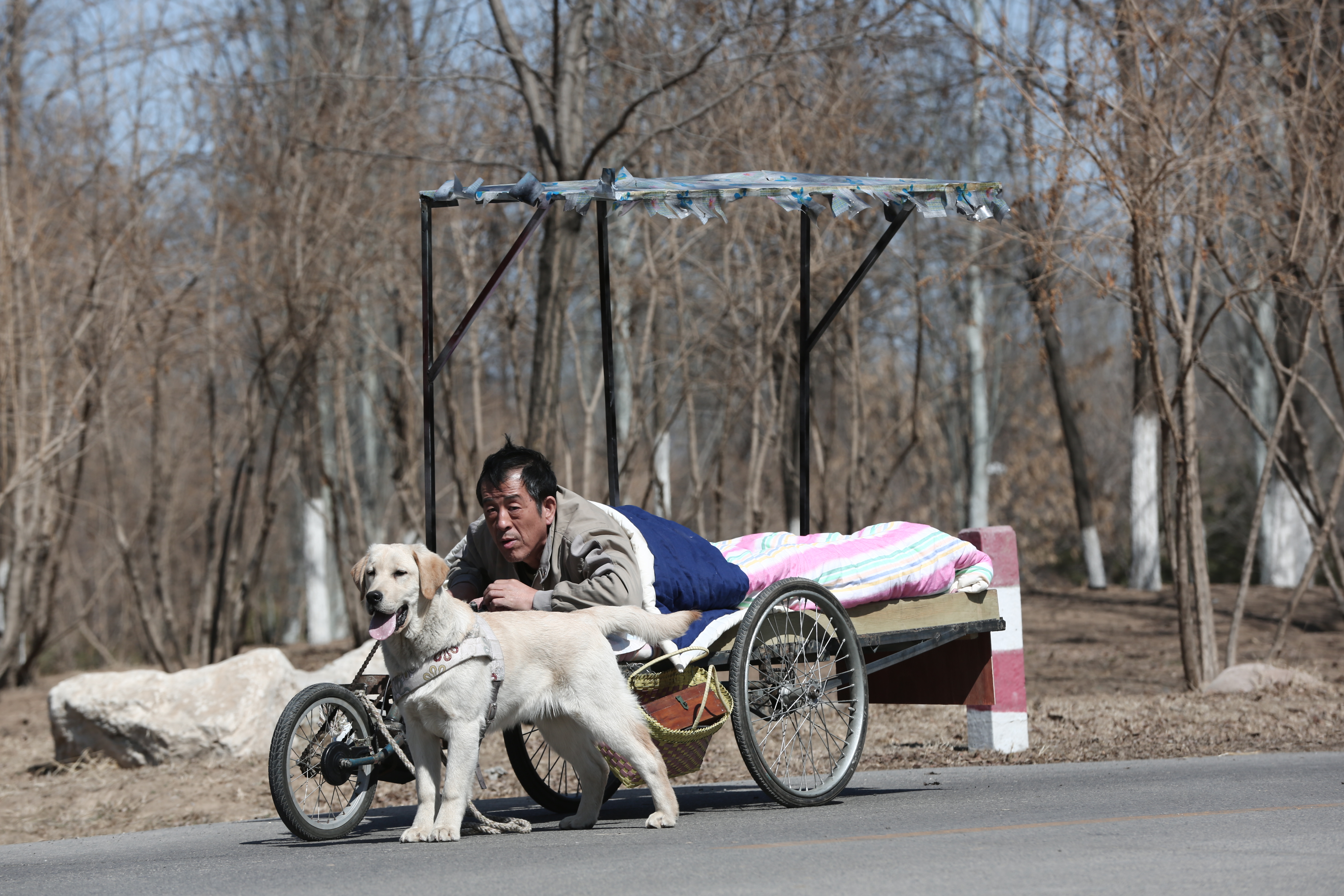 忠爱无言剧照的剧照