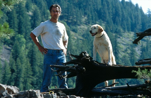 狂野之河剧照的剧照