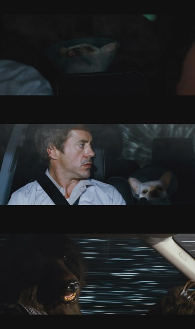 预产期剧照的剧照