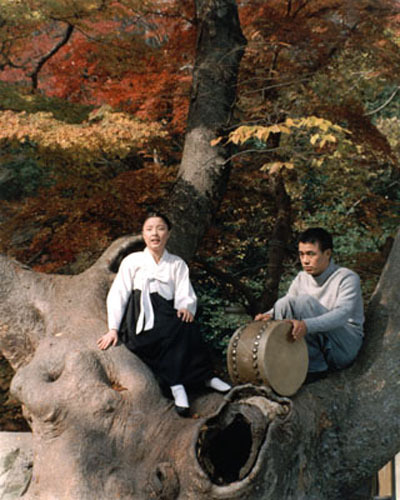 西便制剧照的剧照