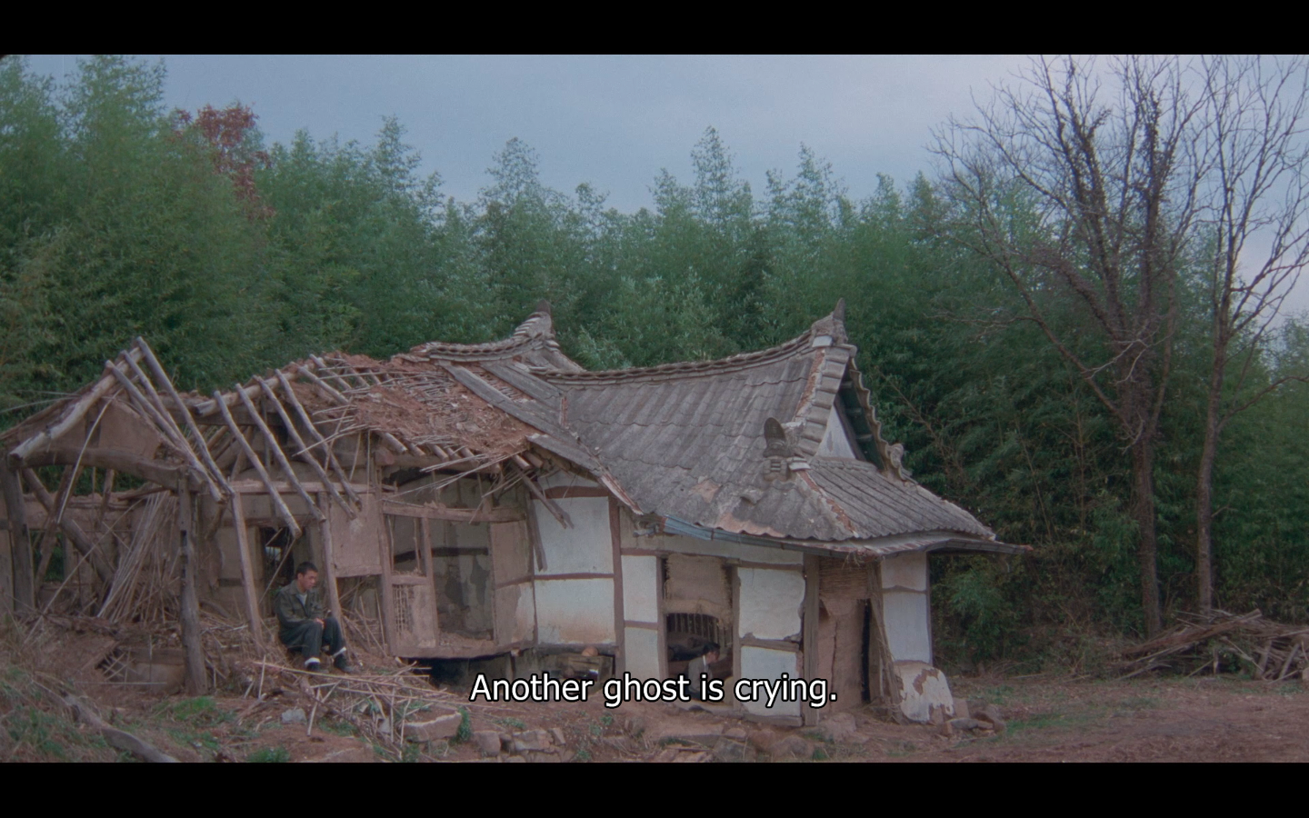 西便制剧照的剧照