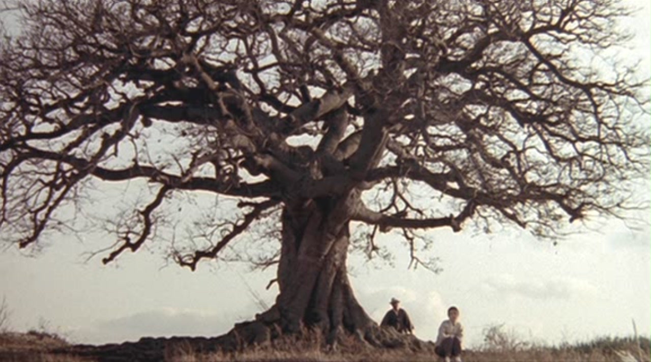 西便制剧照的剧照