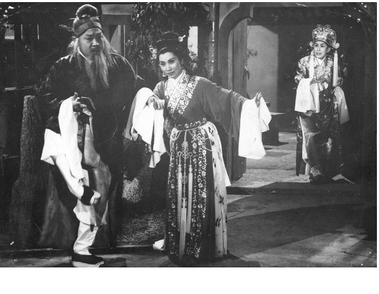 蝶影红梨记剧照的剧照