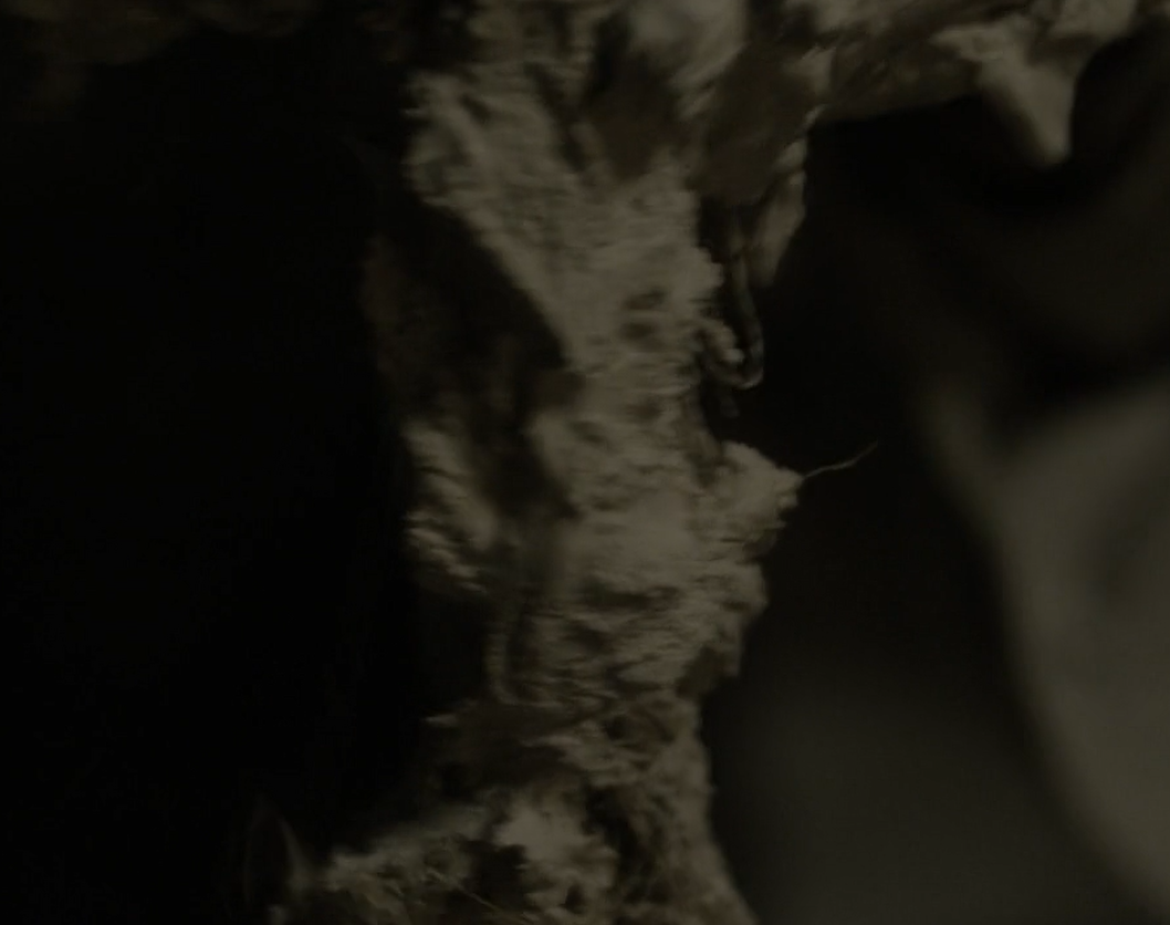 最后的肖像剧照的剧照