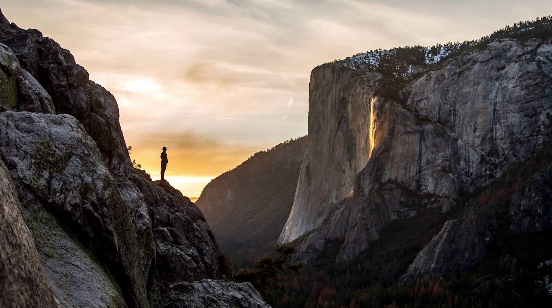 黎明墙剧照的剧照
