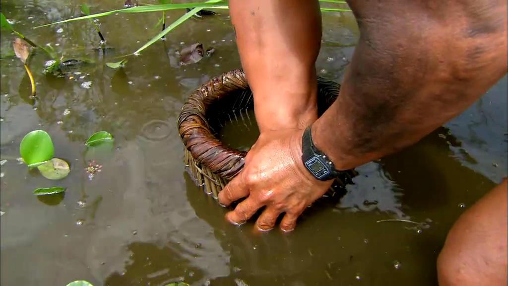 亚马逊的眼泪剧照的剧照