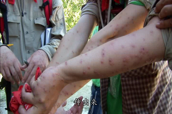 亚马逊的眼泪剧照的剧照