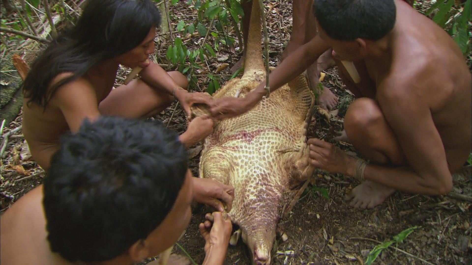 亚马逊的眼泪剧照的剧照