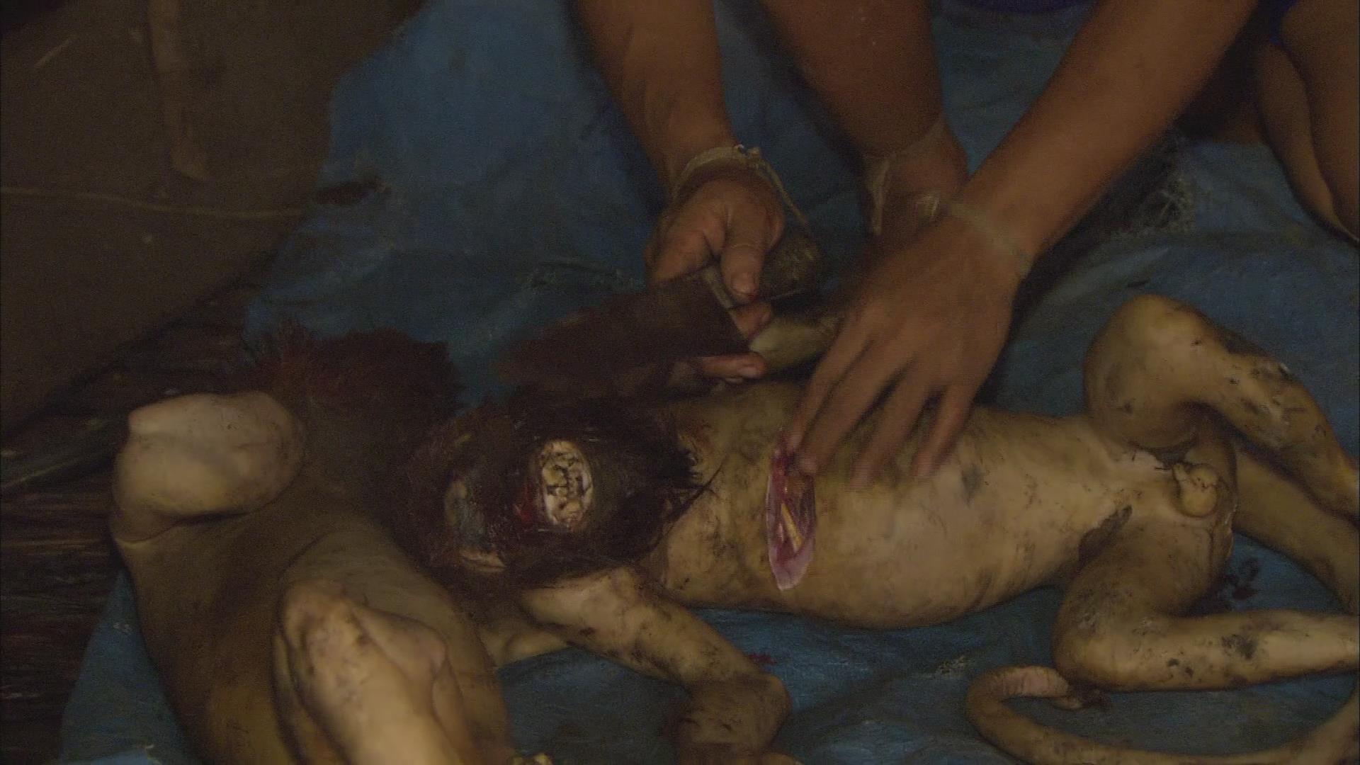 亚马逊的眼泪剧照的剧照