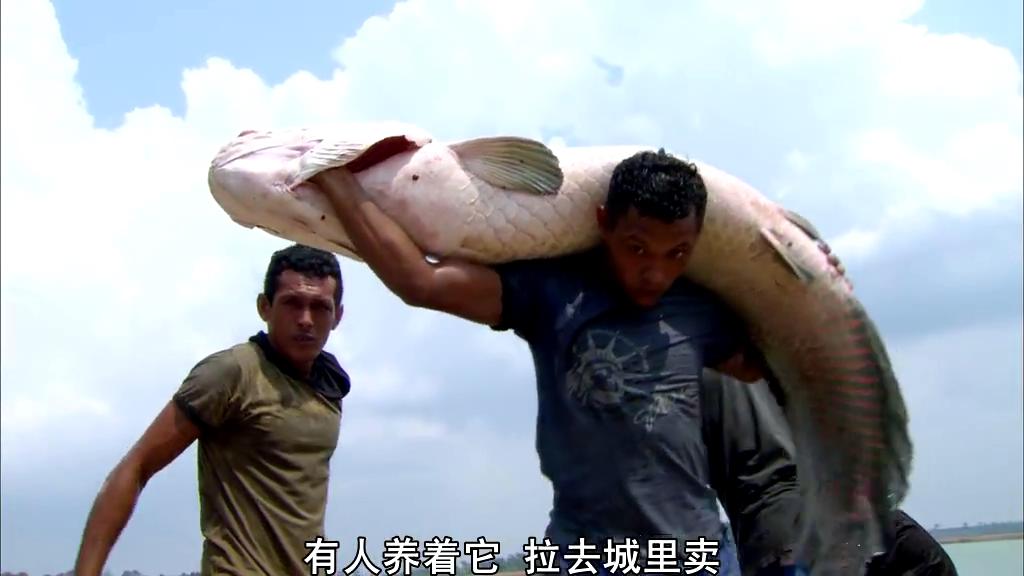 亚马逊的眼泪剧照的剧照