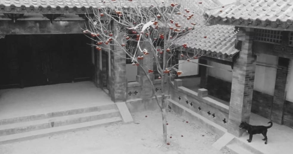 红柿子剧照的剧照