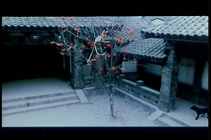 红柿子剧照的剧照