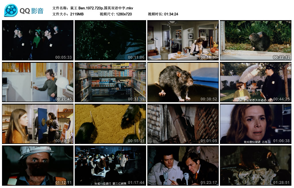 大危机剧照的剧照