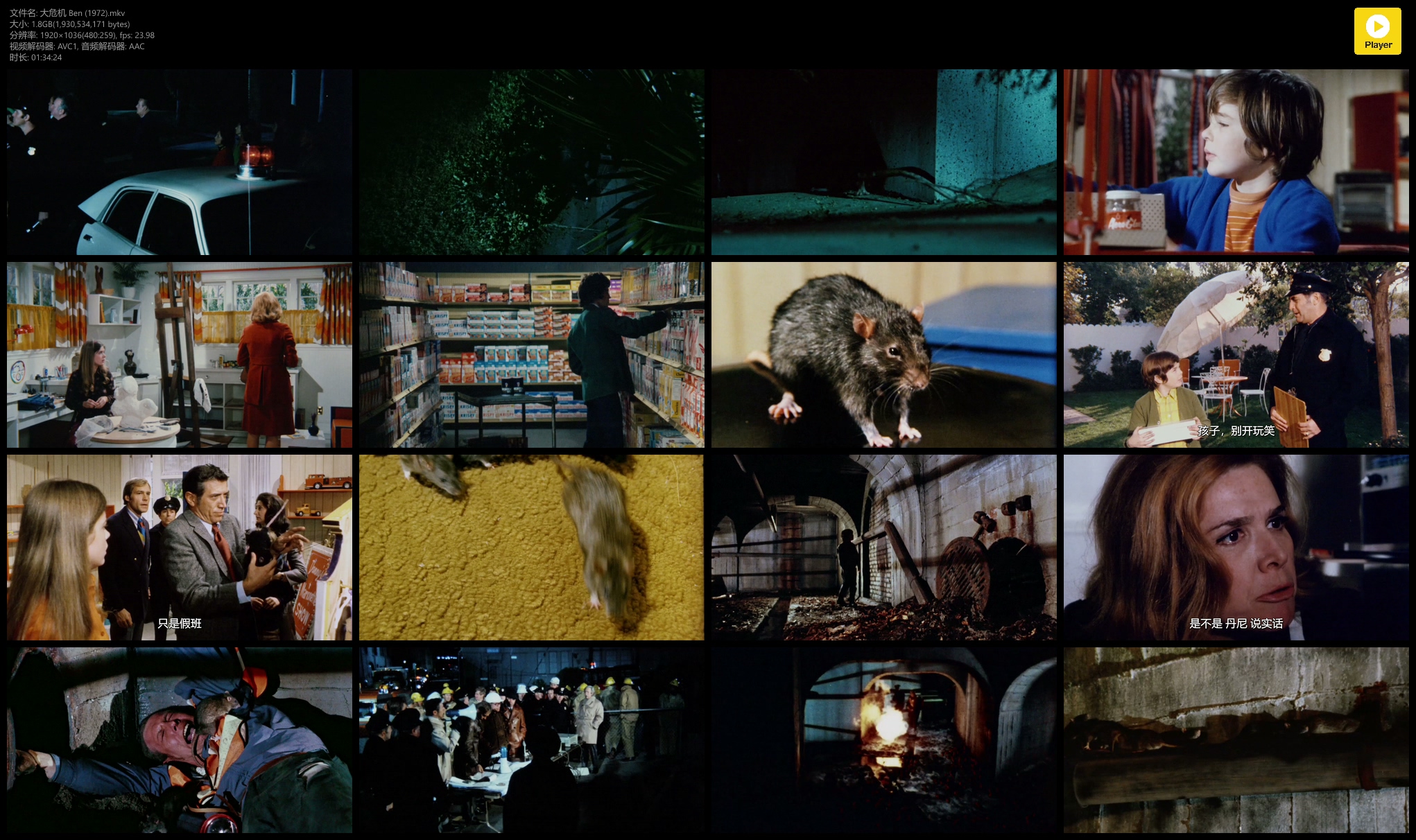 大危机剧照的剧照