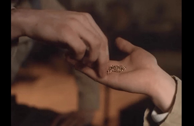 水晶男孩剧照的剧照