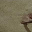 带子雄狼：三涂河的乳母车剧照