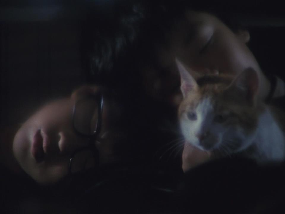 葬礼剧照的剧照