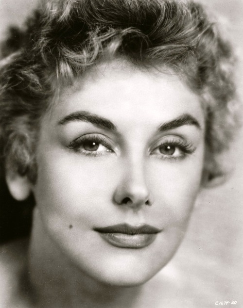 宝华德传剧照的剧照