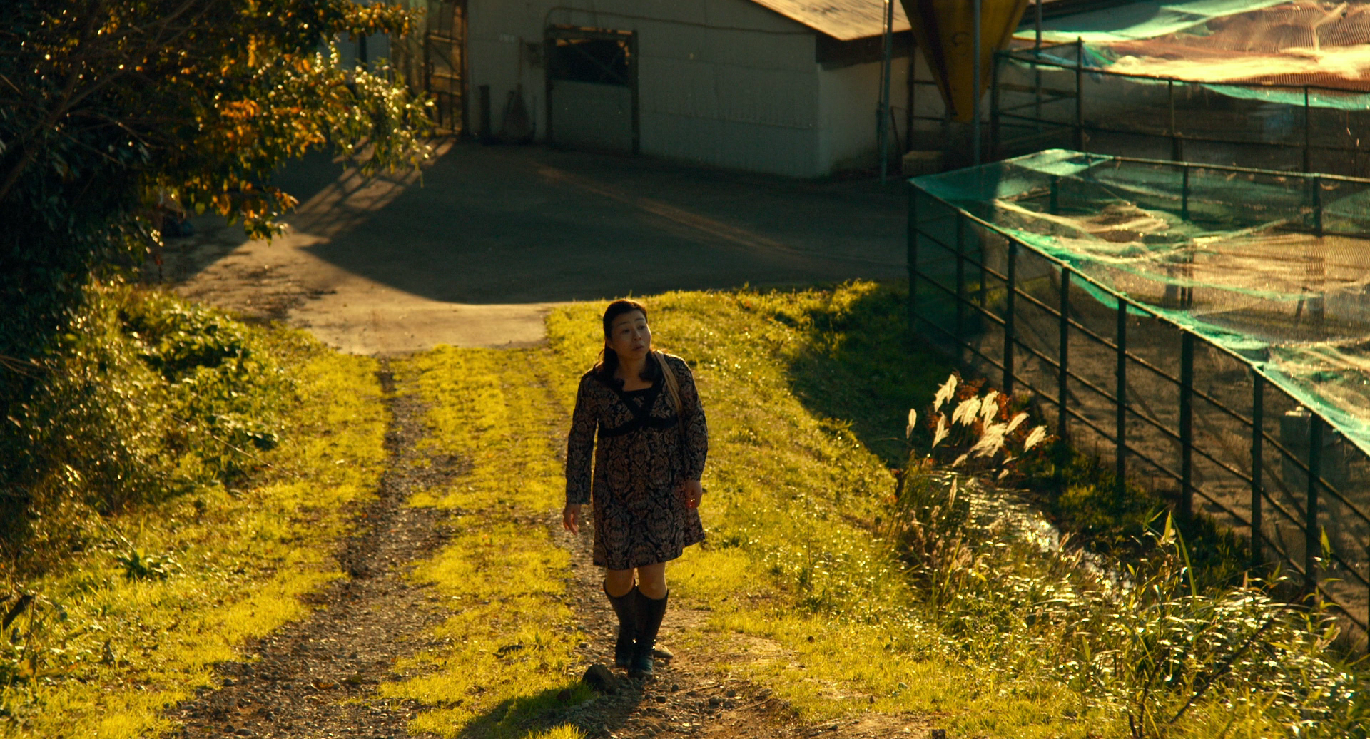 恋人们剧照的剧照