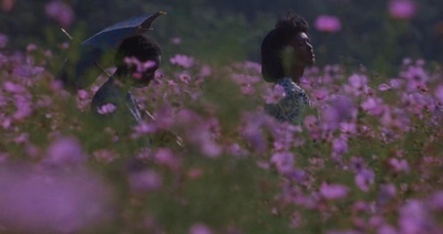 紫色剧照的剧照