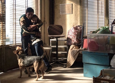 犬舍惊魂剧照的剧照