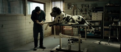 犬舍惊魂剧照的剧照