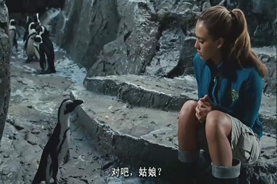 幸运查克剧照的剧照