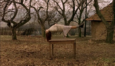 花园剧照的剧照