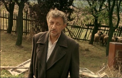 花园剧照的剧照