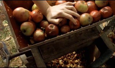 花园剧照的剧照