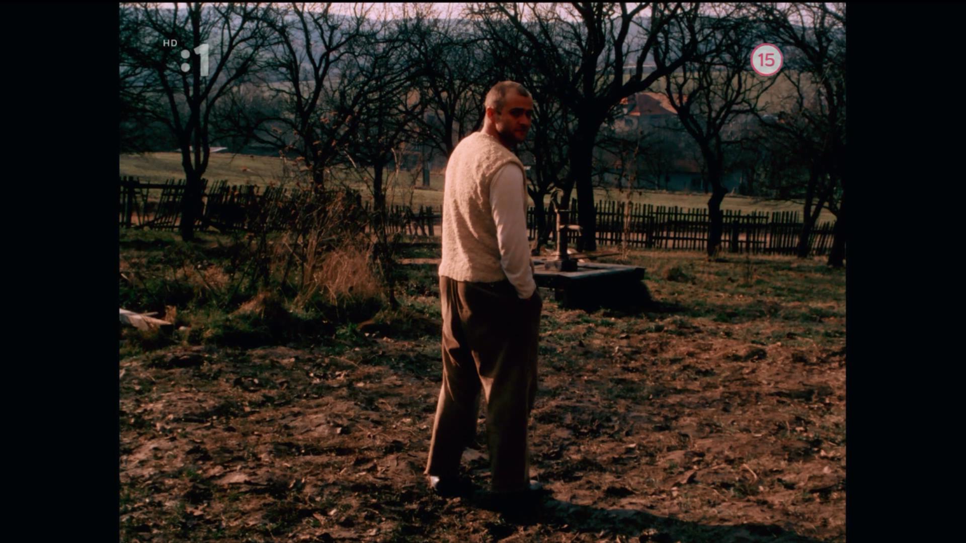 花园剧照的剧照