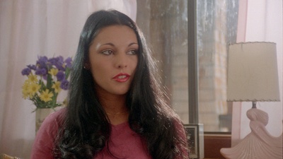 甜蜜的小狐狸剧照的剧照