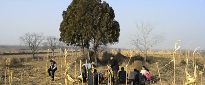 刘金儿剧照的剧照