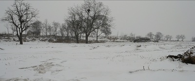 刘金儿剧照的剧照