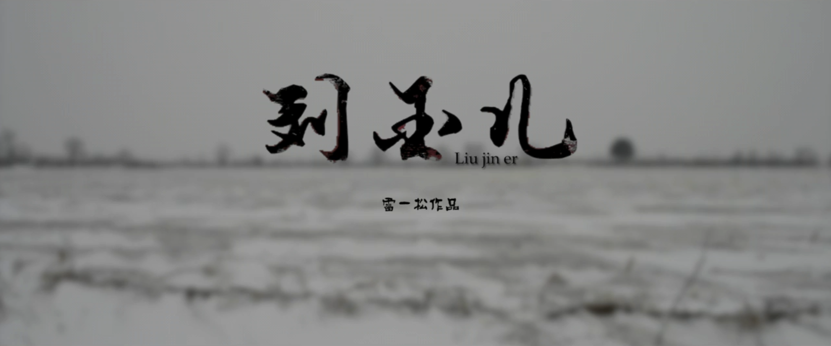 刘金儿剧照的剧照