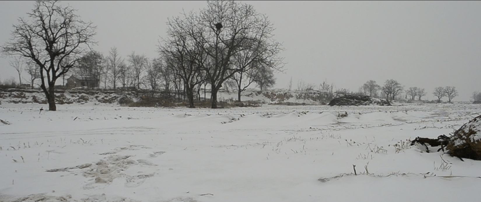 刘金儿剧照的剧照