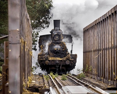 边疆剧照的剧照