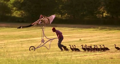 伴你高飞剧照的剧照