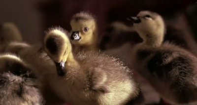 伴你高飞剧照的剧照